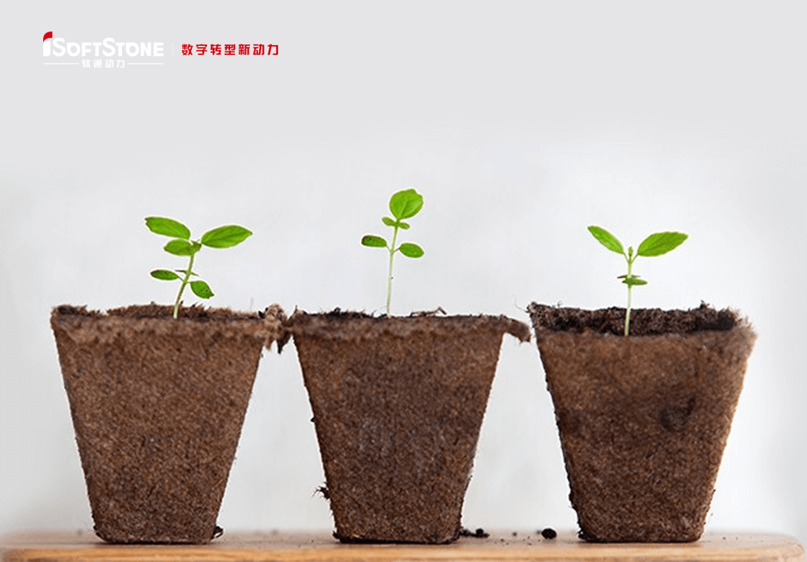 学術的継続可能の革命精神で地方の子供たちに愛を渡す——iSoftStoneは再び公共福祉教育を支援する。。。