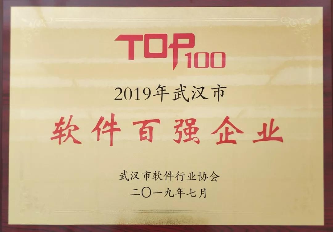 尊龙凯时动力荣获2019年武汉市软件百强企业榜单第一名