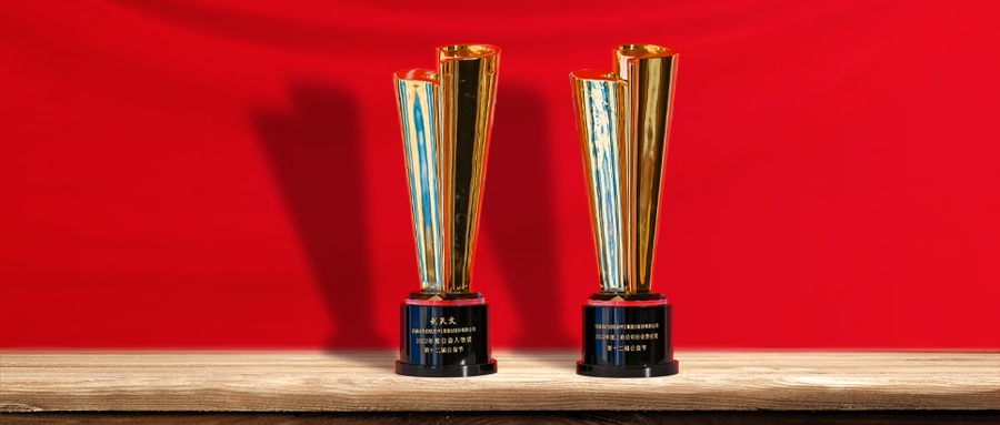 益起向未来 尊龙凯时动力荣膺第十二届公益节两项大奖